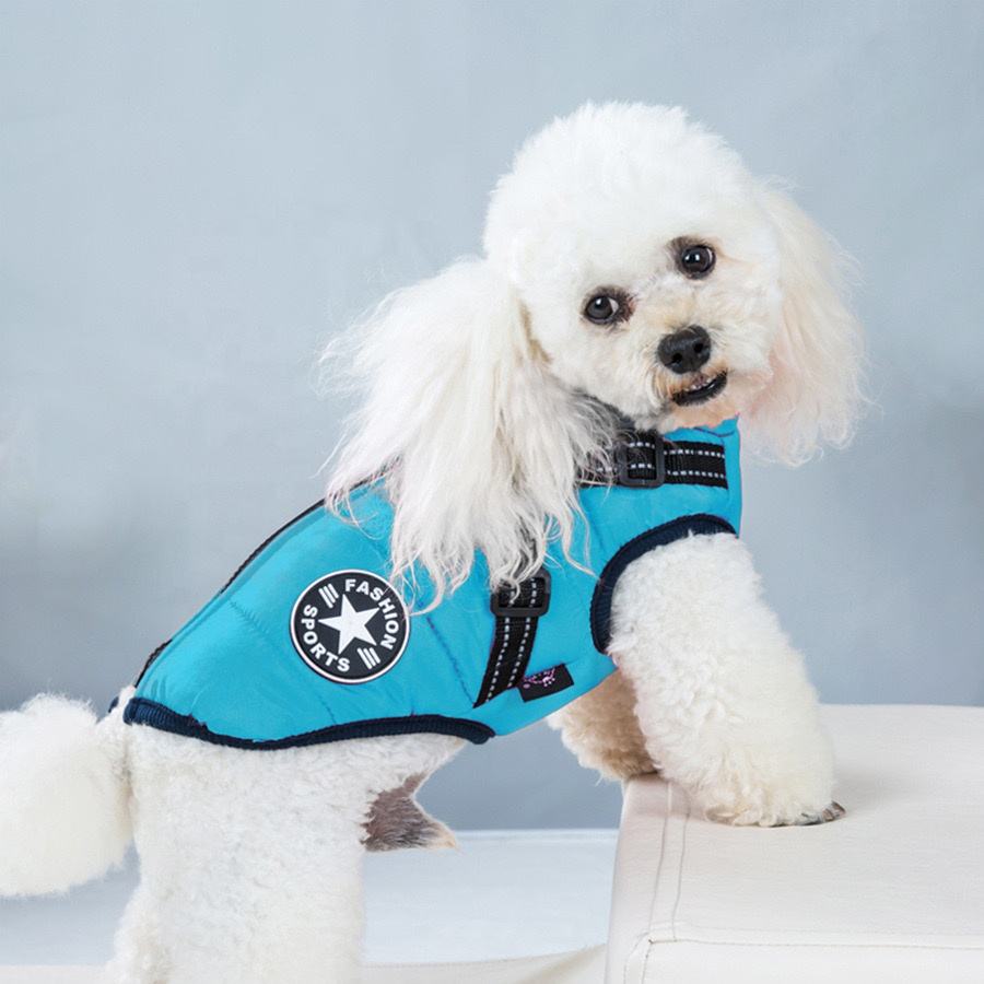 WarmPaw™ - Il Giubbottino Perfetto per il tuo amico a 4 zampe!