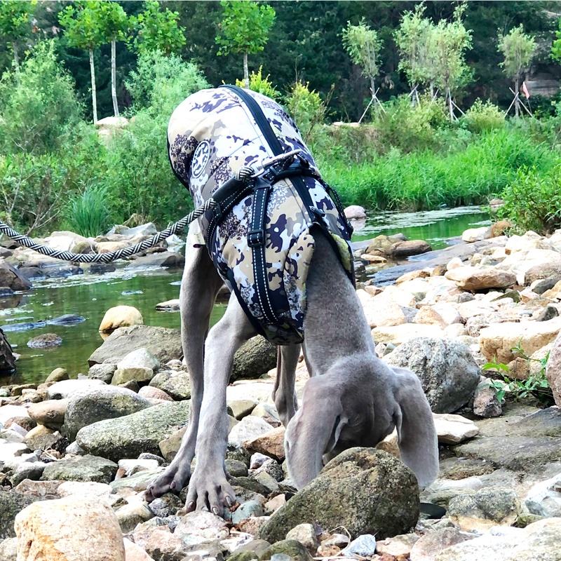 WarmPaw™ - Il Giubbottino Perfetto per il tuo amico a 4 zampe!