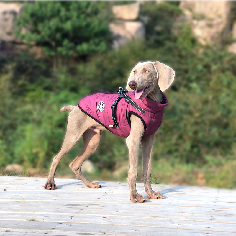 WarmPaw™ - Il Giubbottino Perfetto per il tuo amico a 4 zampe!