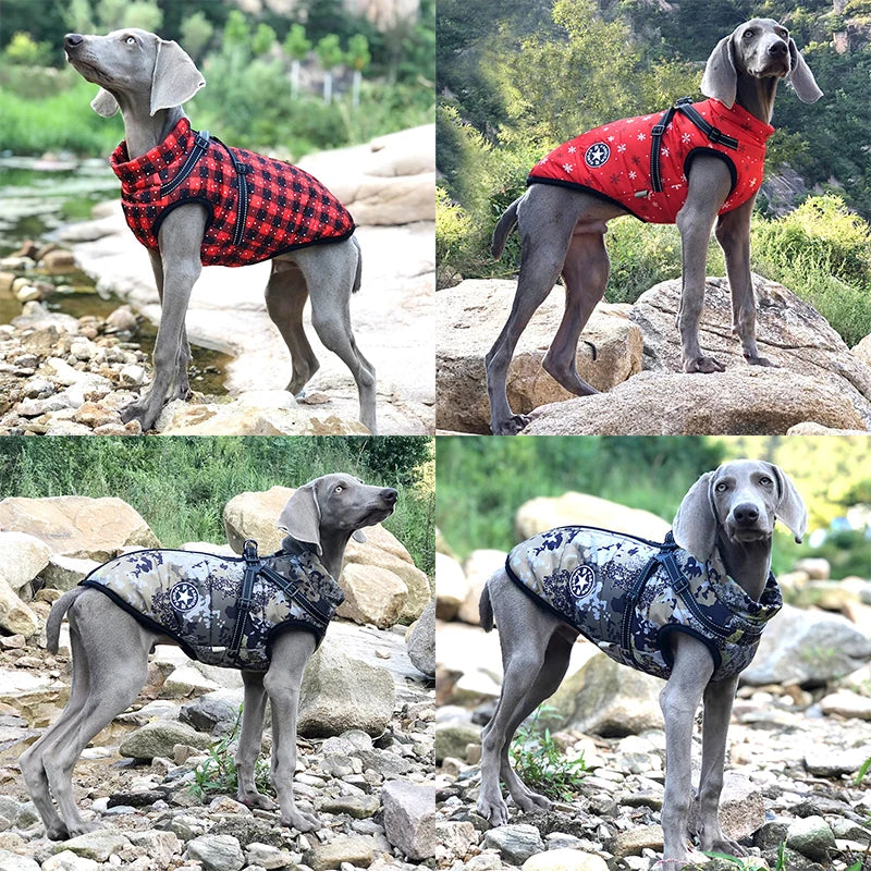 WarmPaw™ - Il Giubbottino Perfetto per il tuo amico a 4 zampe!