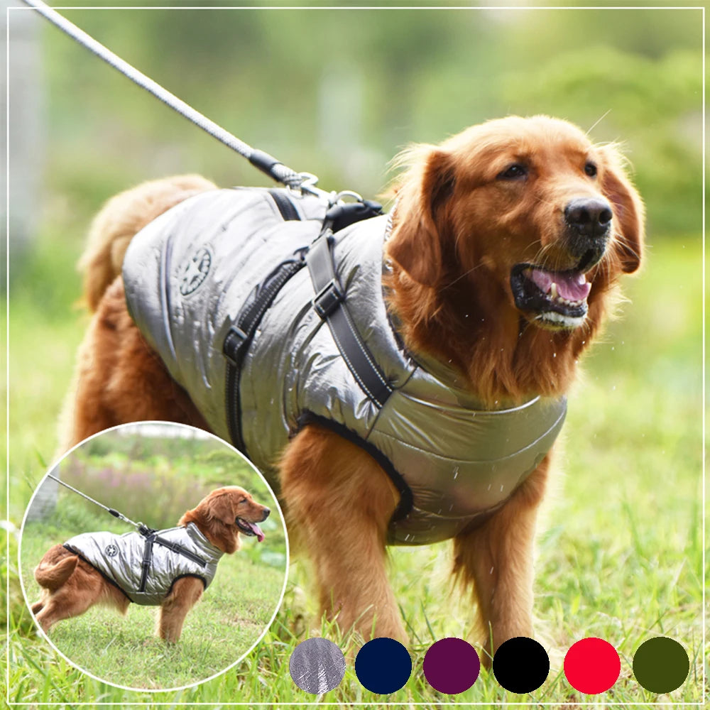 WarmPaw™ - Il Giubbottino Perfetto per il tuo amico a 4 zampe!